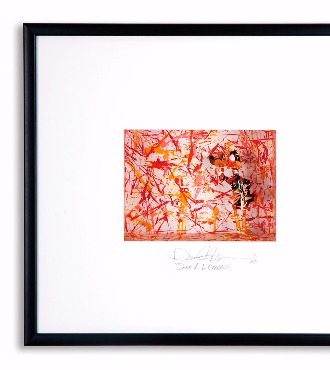 Duck à l'orange - 64 x 69 cm - Shadow box