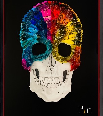 Rainbow Skull - 100 x 70 cm - Plumes et dessin