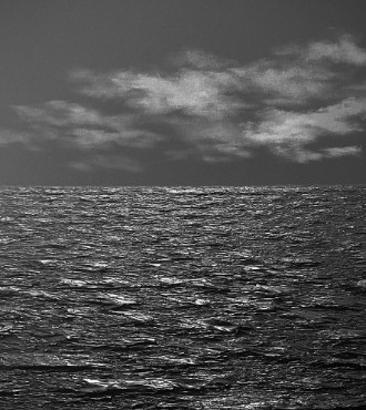 Night Call - S7825 - Oil on canvas - 36" x 29"