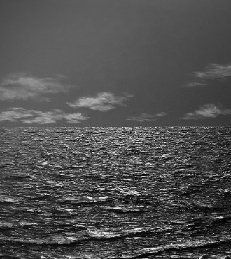 Nigh Call - S7925 - Oil on canvas - 51" x 38"