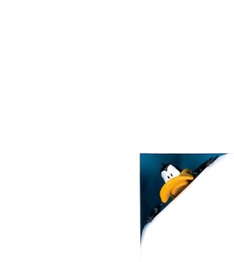 Peeking duck - 20" x 20" - Shadow box