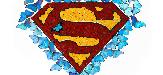Superman - Acrylic drawing on paper with mounted butterflies - 54"x47"x3,9"