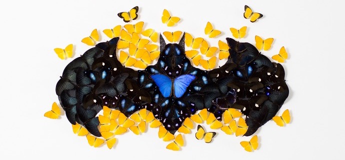 Batman - Acrylic drawing on paper with mounted butterflies - 55"x47"x3,9"